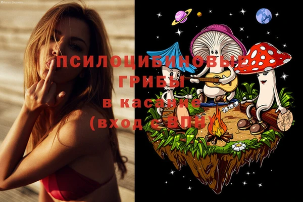 меф Медногорск