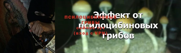 меф Медногорск