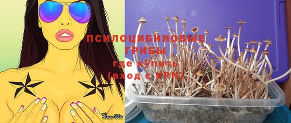 меф Медногорск