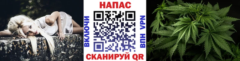 Купить где  Чернушка  Бошки Шишки SATIVA & INDICA 